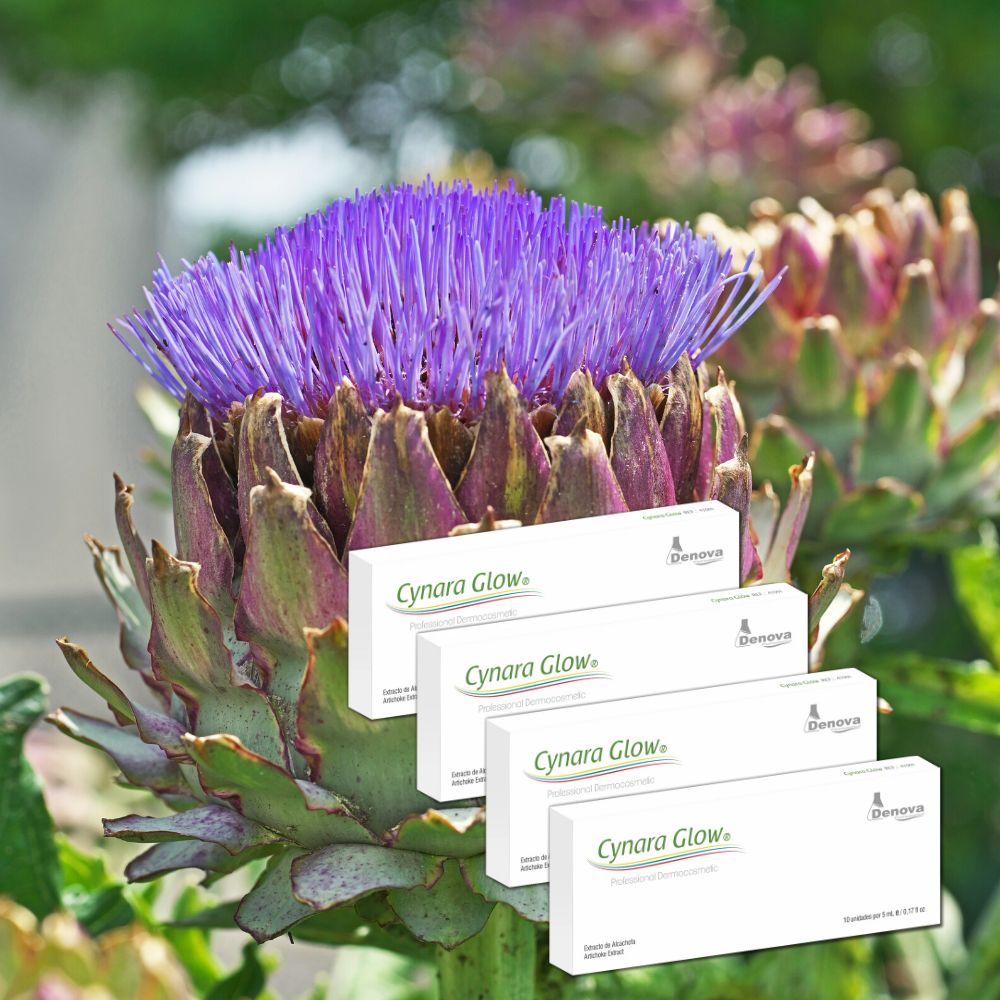 Cynara Glow (antes Lipolimus)  By Denova - Solución Extracto de Alcachofa - Adelgazante y Anticelulítico - 10Amp x 2ml